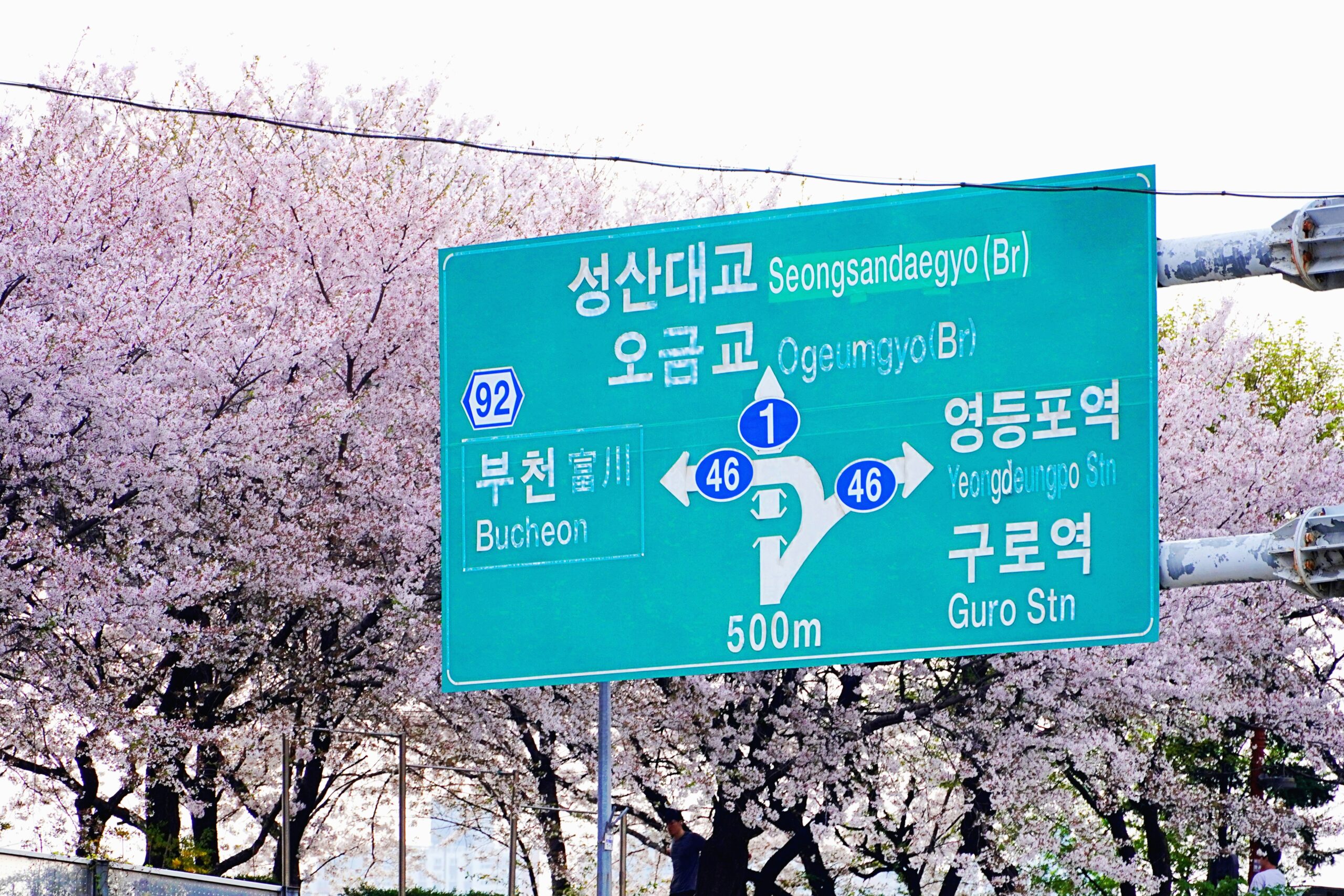 Korean skincare ingredients