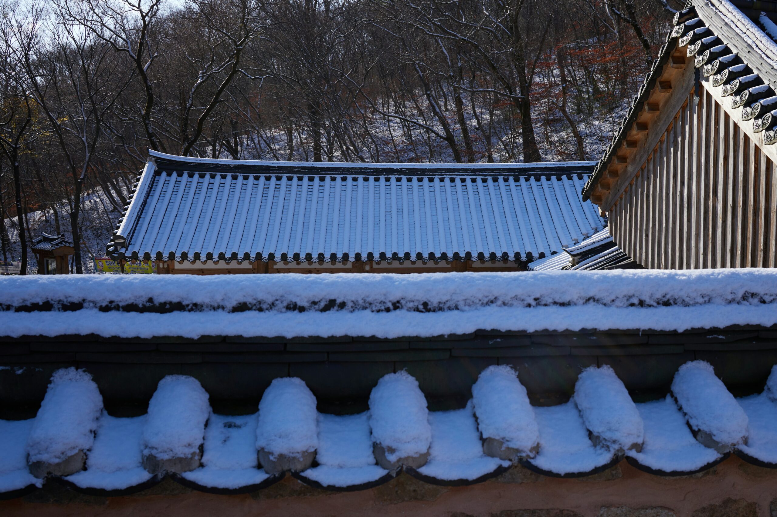 Korean winter beauty lifestyle