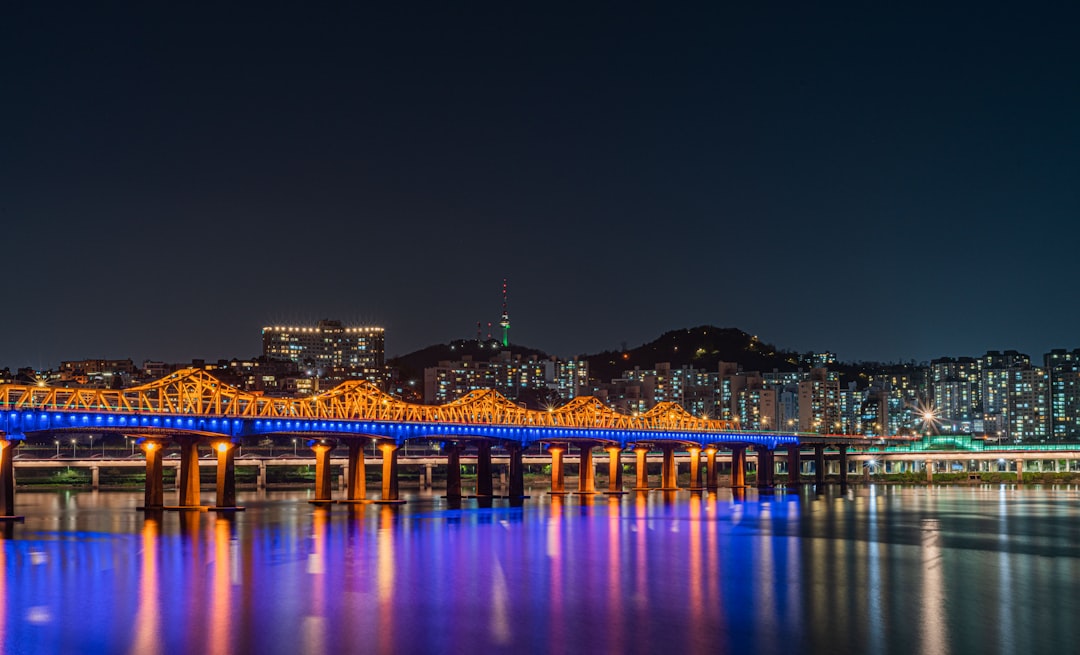 a bridge over a body of water with a city in the background