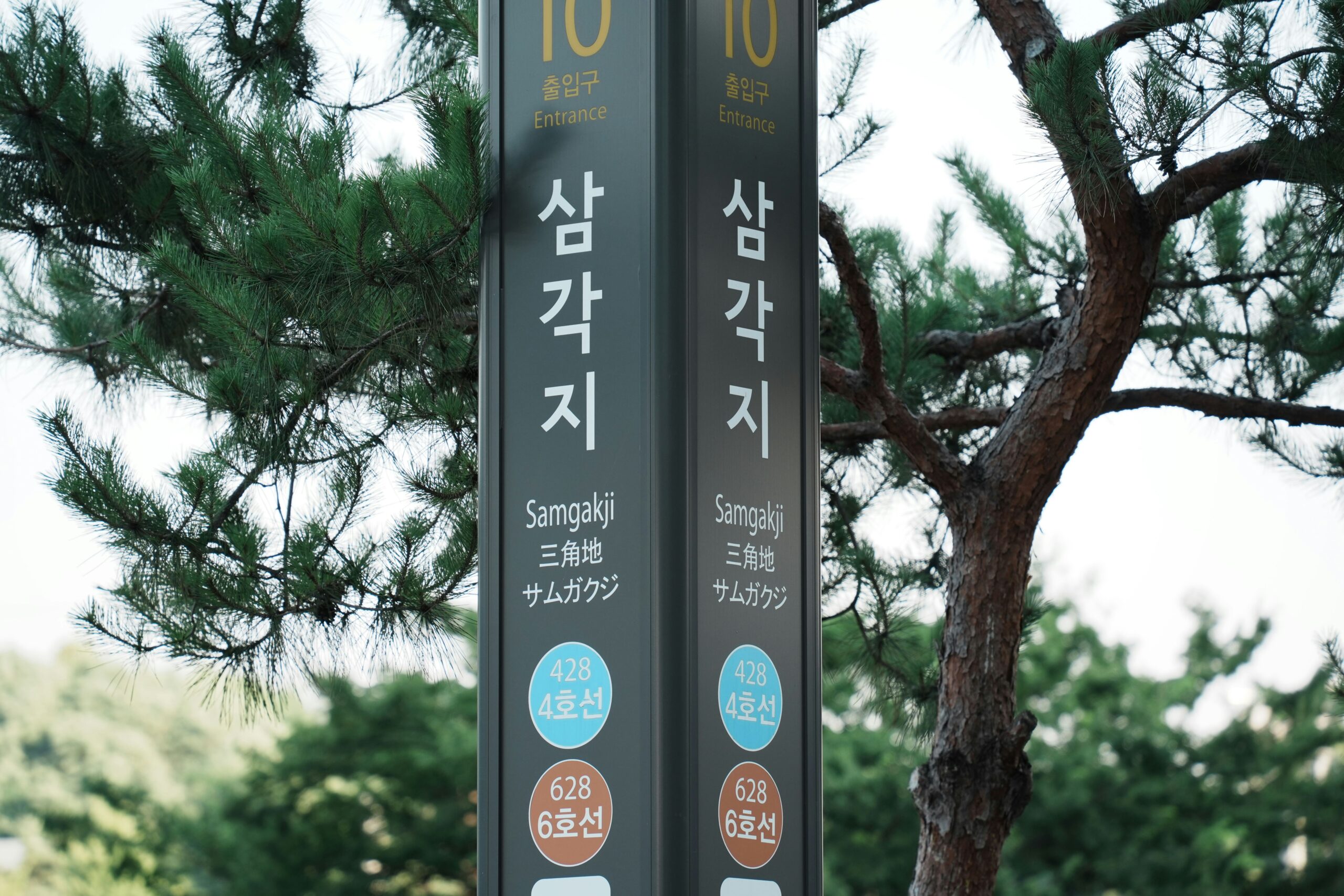 AI-assisted Korean language learning